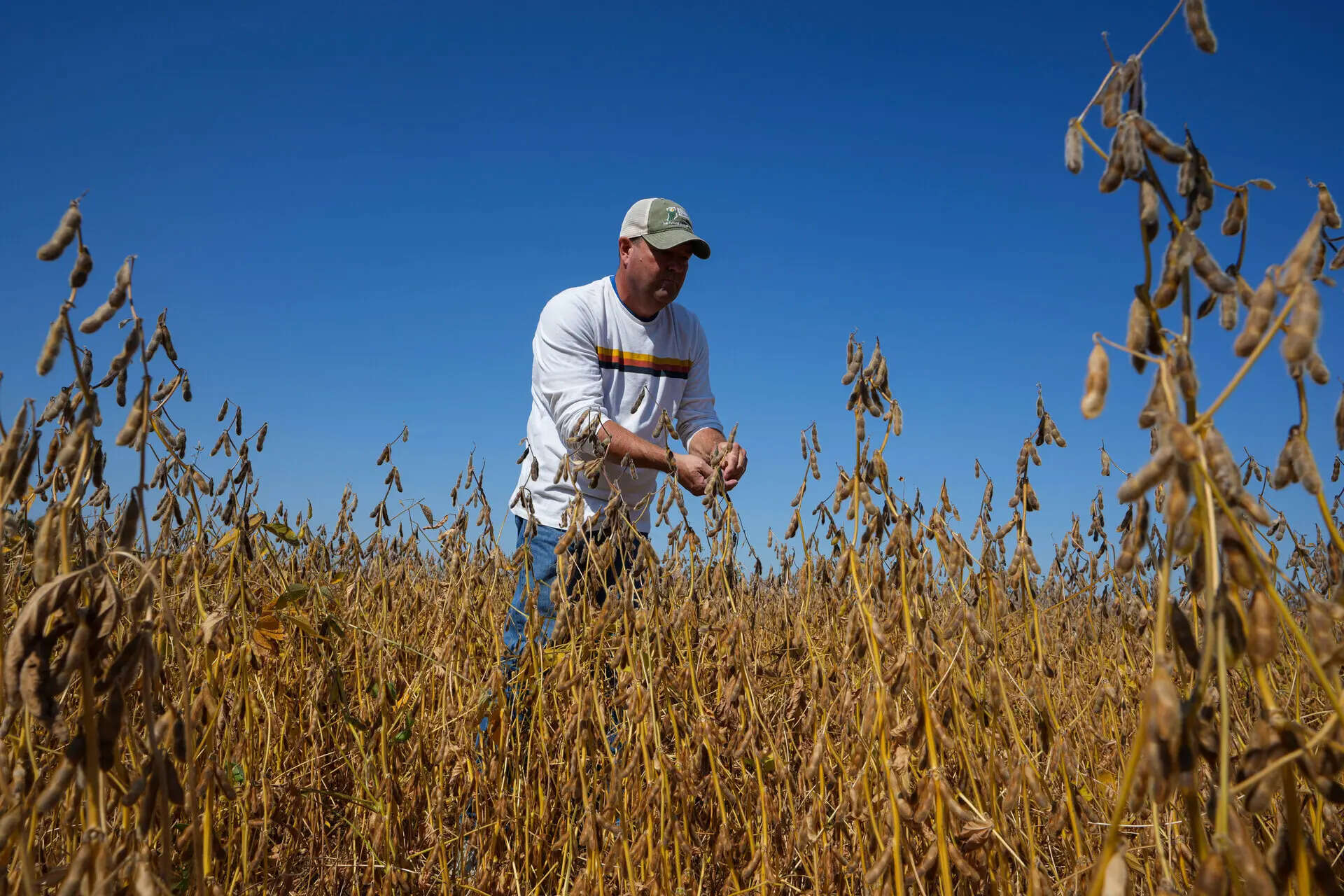 'Big measures': US plans $10 billion aid to support farmers; 'give some tariff money to farmers'