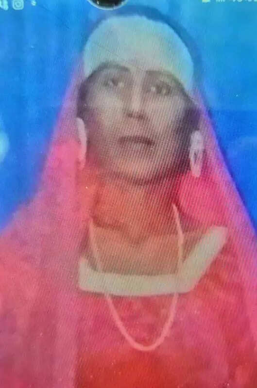 msid 124371292,imgsize 25938 https://jaipur.visitinrajasthan.com/wp-content/uploads/2023/10/cropped-cropped-R-2.png