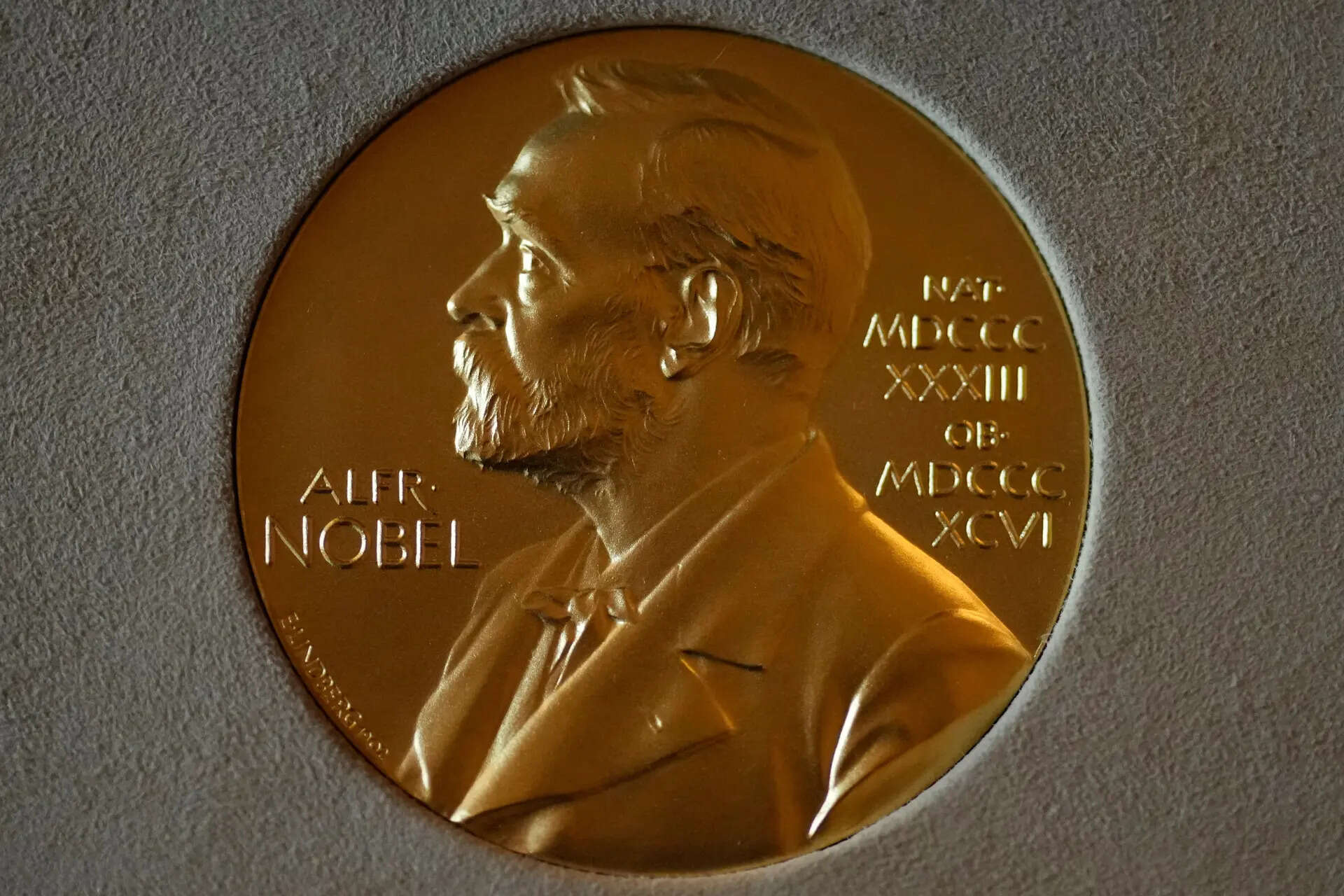 These US universities shaped the 2025 Nobel Prize winners