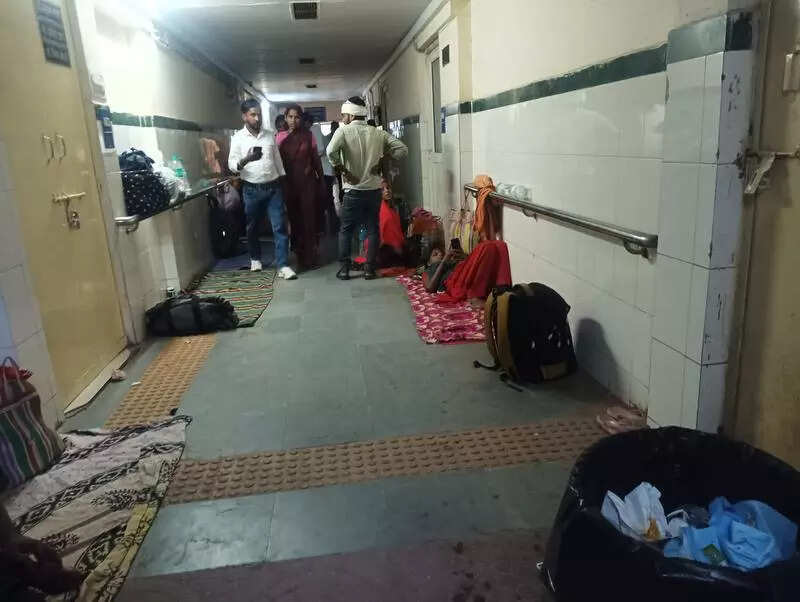 msid 124396943,imgsize 37740 https://jaipur.visitinrajasthan.com/wp-content/uploads/2023/10/cropped-cropped-R-2.png