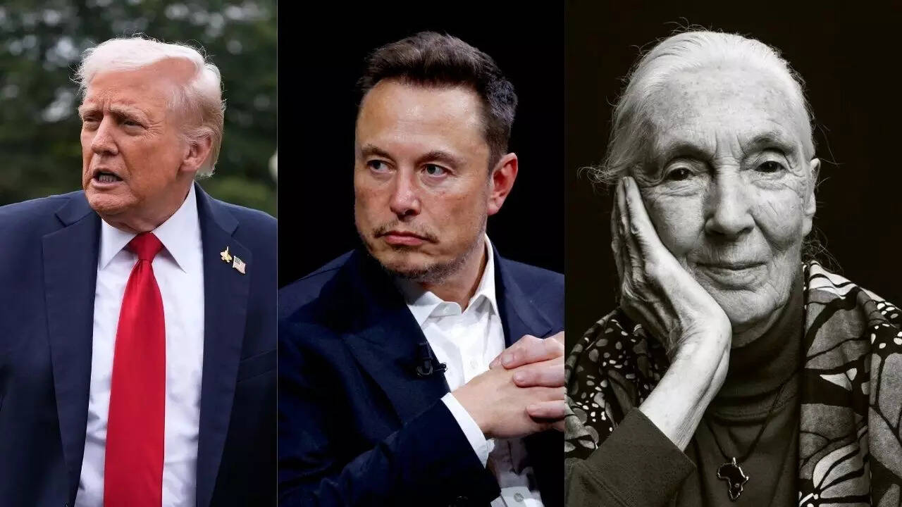 “Send Elon Musk, Donald Trump and Netanyahu to space in a…,” said conservation activist Jane Goodall in her final interview