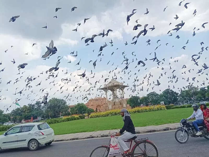 msid 124438374,imgsize 73540 https://jaipur.visitinrajasthan.com/wp-content/uploads/2023/10/cropped-cropped-R-2.png