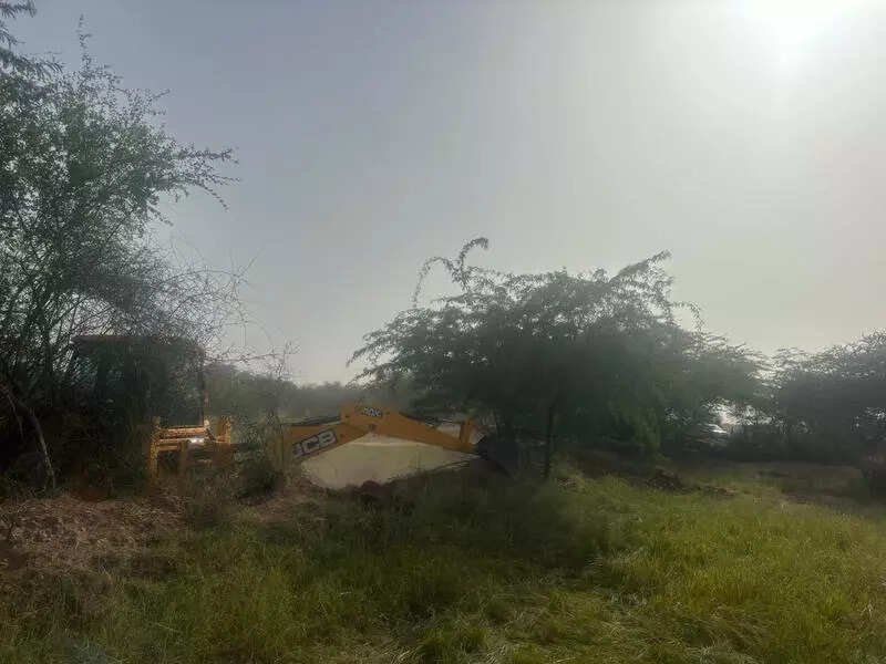 msid 124511443,imgsize 42898 https://jaipur.visitinrajasthan.com/wp-content/uploads/2023/10/cropped-cropped-R-2.png