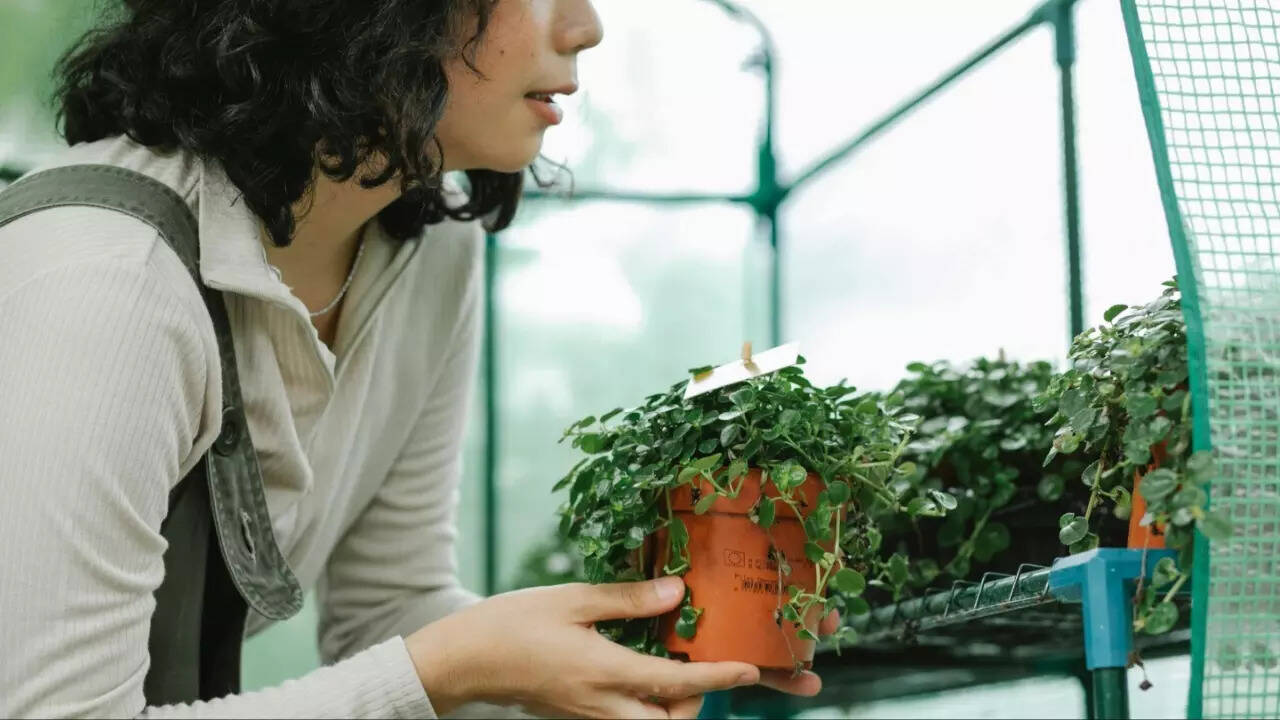 Microshifting in US: How short, flexible work bursts boost productivity in American schools?