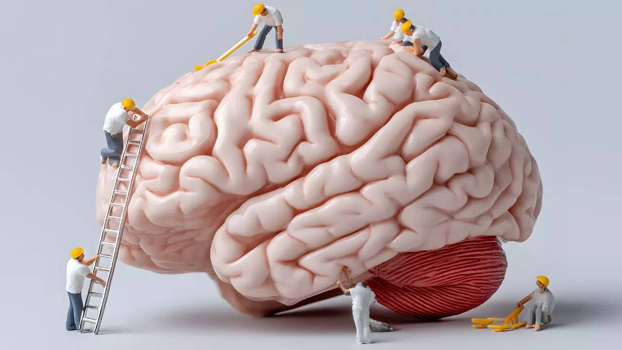 Active brain