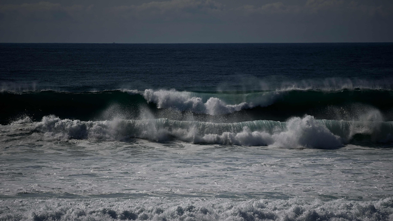 Water salinity hurting farmers, livestock in Iraq