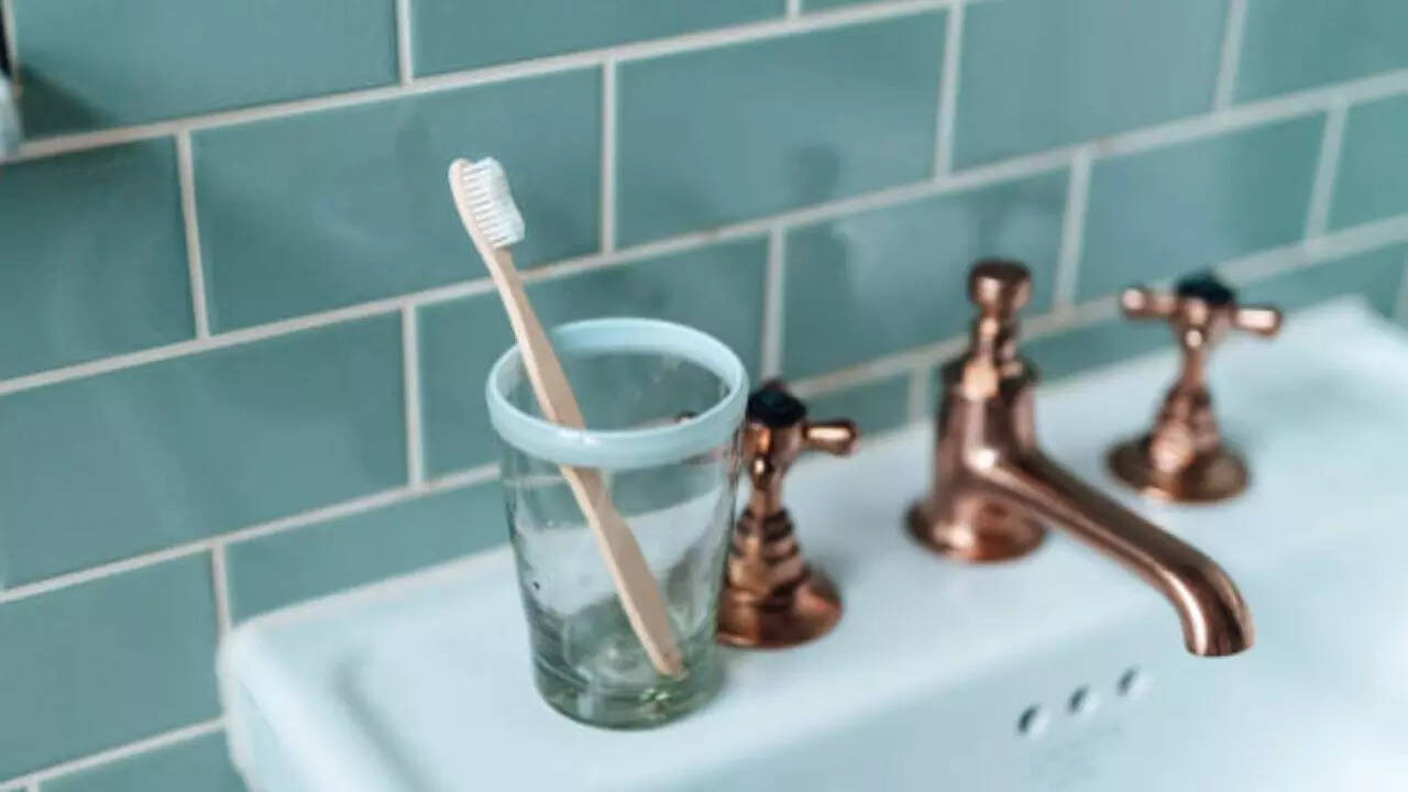 Sources of the microbes