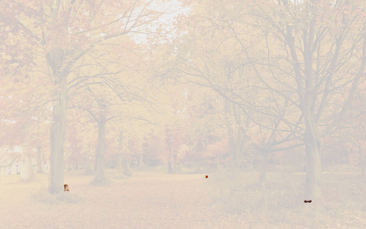 find-squirrel-conkers-pumpkin-cosy-1031052302.