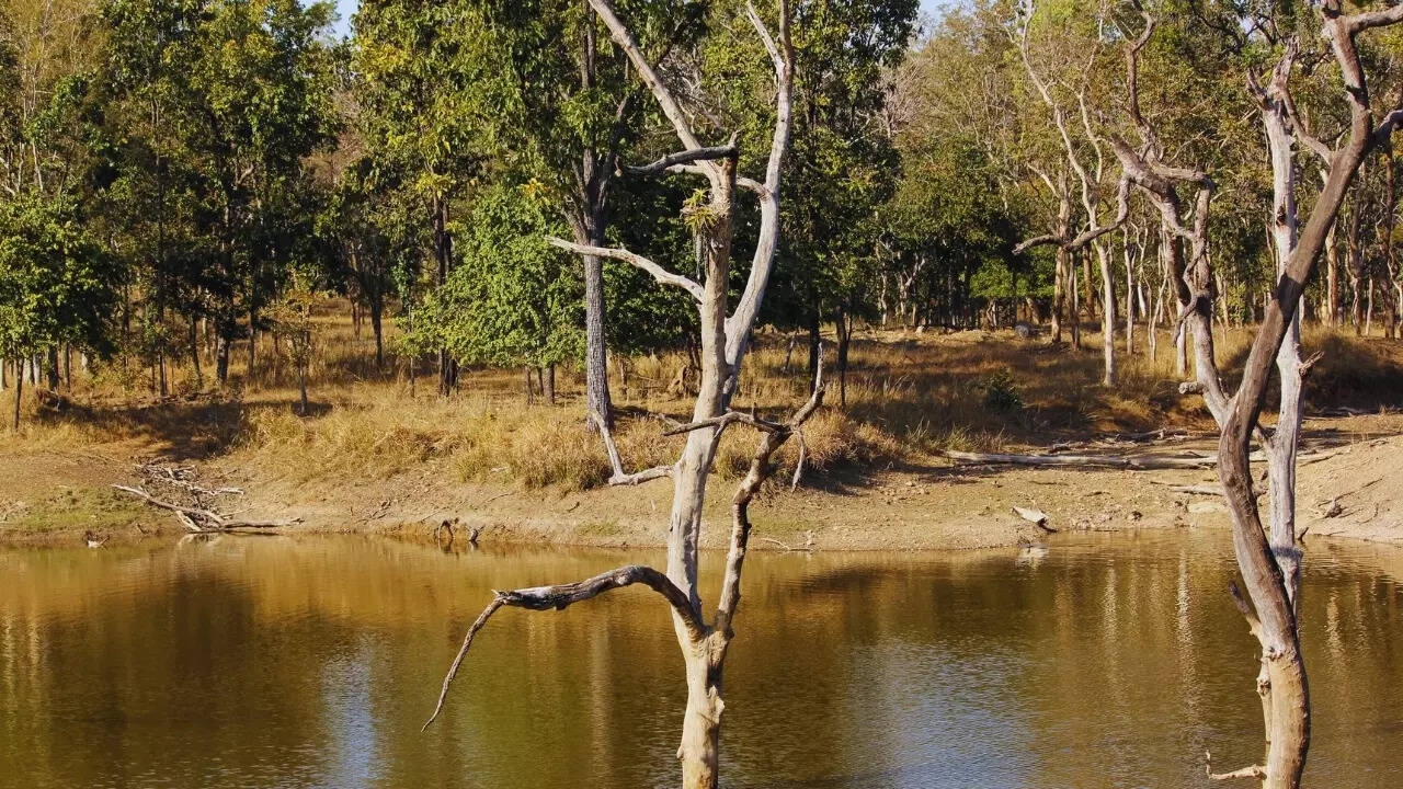 Pench National Park