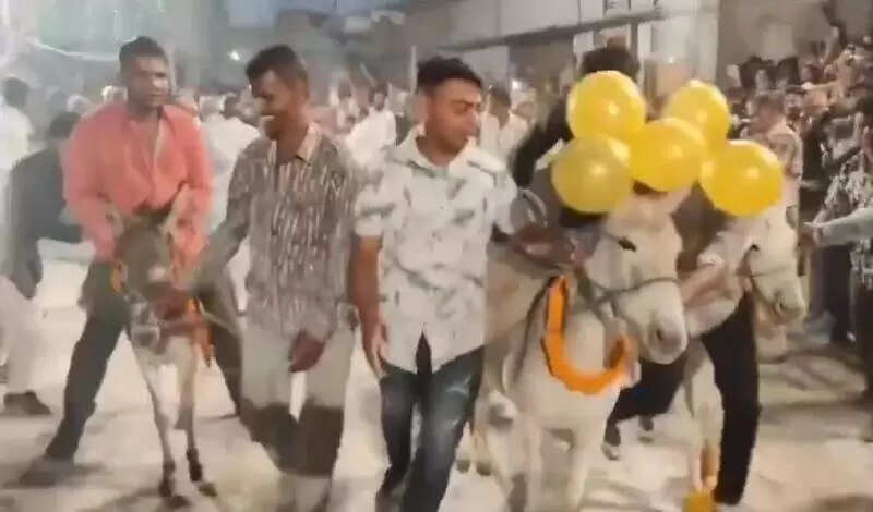 msid 124747606,imgsize 22610 https://jaipur.visitinrajasthan.com/wp-content/uploads/2023/10/cropped-cropped-R-2.png