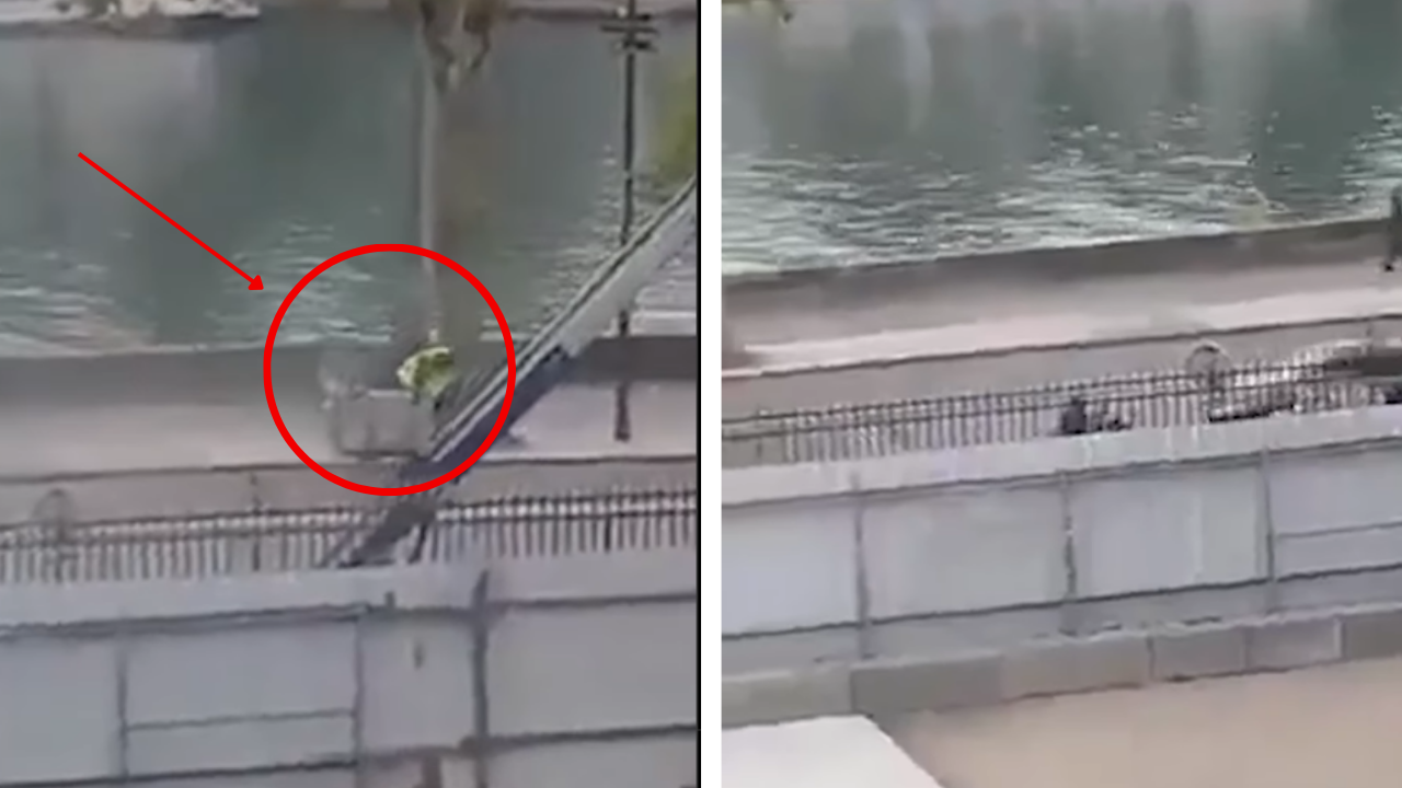 Watch: Louvre robbers make daring escape in broad daylight with $100 million worth of jewels