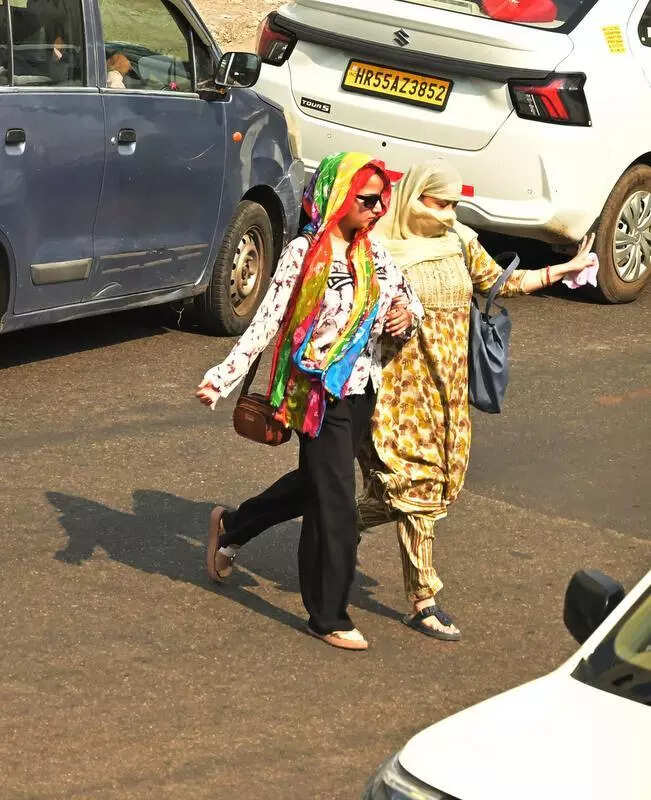 msid 124836945,imgsize 75068 https://jaipur.visitinrajasthan.com/wp-content/uploads/2023/10/cropped-cropped-R-2.png