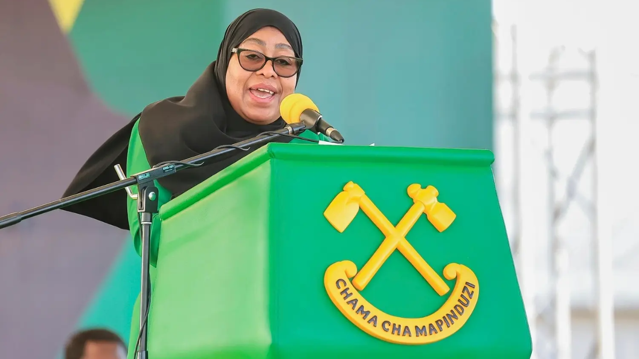 Murder, kidnap, censorship: The 'new normal' of Tanzania politics