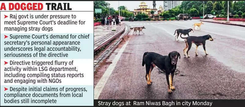 msid 124857606,imgsize 67194 https://jaipur.visitinrajasthan.com/wp-content/uploads/2023/10/cropped-cropped-R-2.png