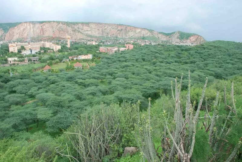 msid 124857986,imgsize 73576 https://jaipur.visitinrajasthan.com/wp-content/uploads/2023/10/cropped-cropped-R-2.png