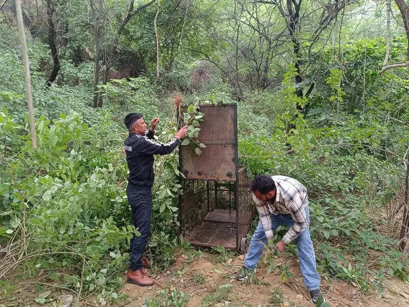 msid 124858070,imgsize 174850 https://jaipur.visitinrajasthan.com/wp-content/uploads/2023/10/cropped-cropped-R-2.png