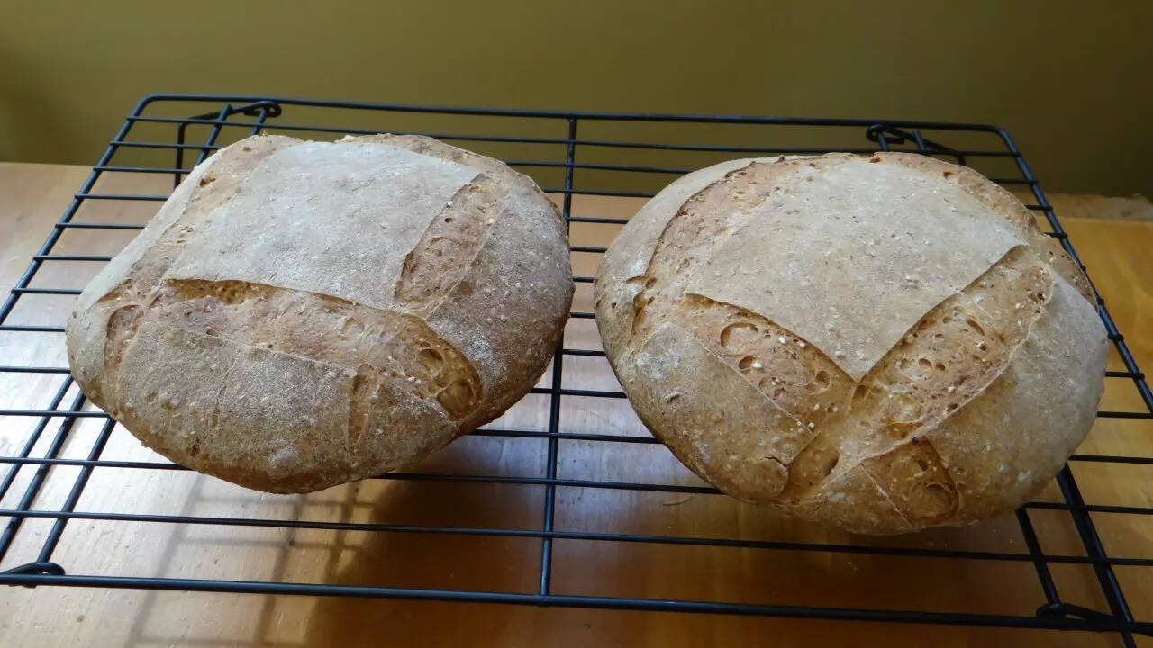 Bread (1)