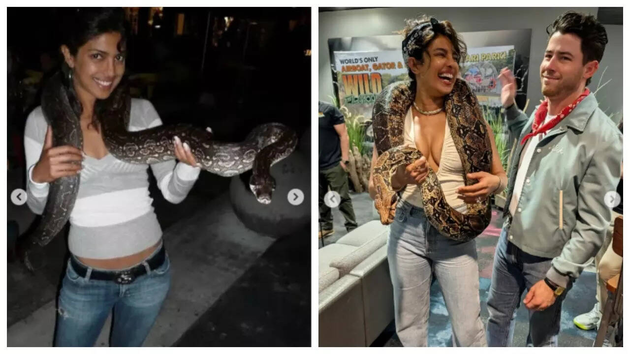 Priyanka Chopra shares her Then and Now pics with snakes