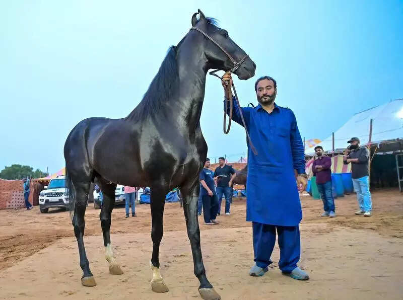 msid 124966145,imgsize 40466 https://jaipur.visitinrajasthan.com/wp-content/uploads/2023/10/cropped-cropped-R-2.png