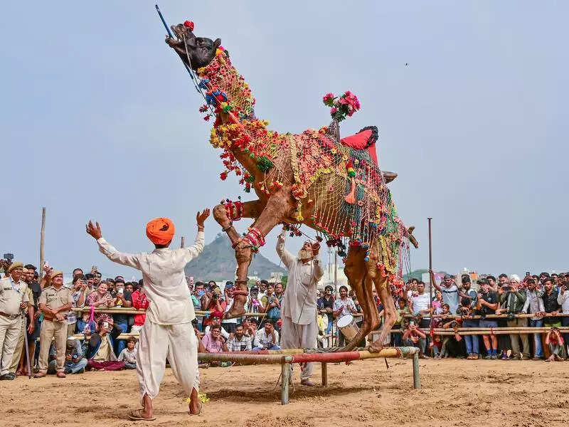 msid 125003476,imgsize 75474 https://jaipur.visitinrajasthan.com/wp-content/uploads/2023/10/cropped-cropped-R-2.png