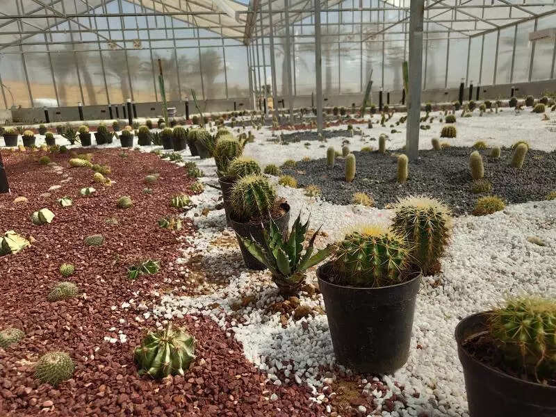 msid 125023735,imgsize 118610 https://jaipur.visitinrajasthan.com/wp-content/uploads/2023/10/cropped-cropped-R-2.png