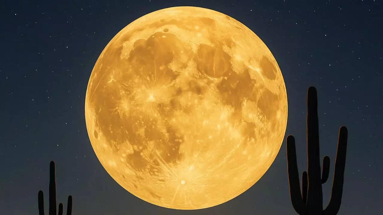 November Supermoon: When you can see it in New York, Washington, Miami, Chicago, Los Angeles, and other cities