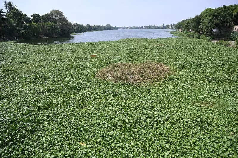 Velachery teetering on brink of disaster, again