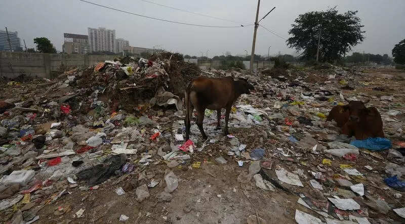 Impose fines up to Rs 50k for illegal waste dumping, Haryana tells corporations after NGT order
