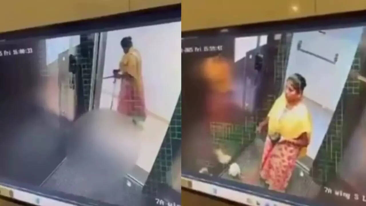 Bengaluru horror: Caretaker kills dog by smashing it on lift floor after it barked at her; act caught on CCTV