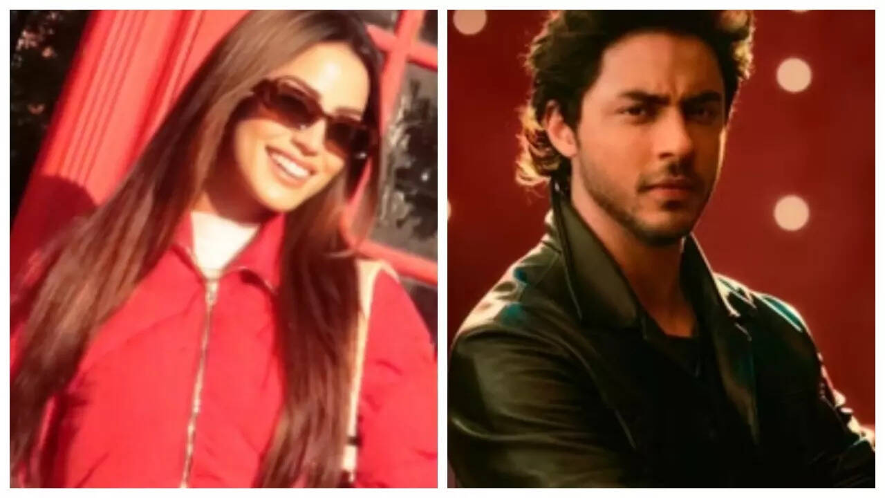 Aryan's fans tease girlfriend over Rahul's 'Brazilian model' remark