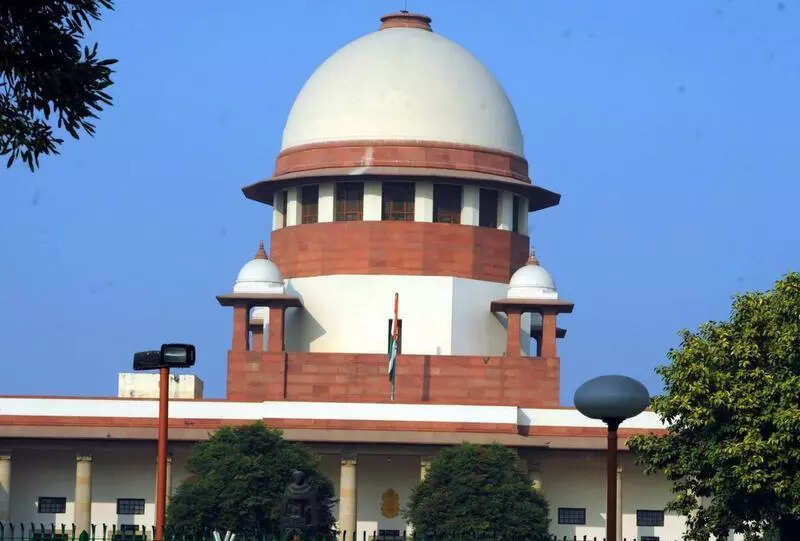 State forms SITs to probe forest land allotments after Supreme Court directive