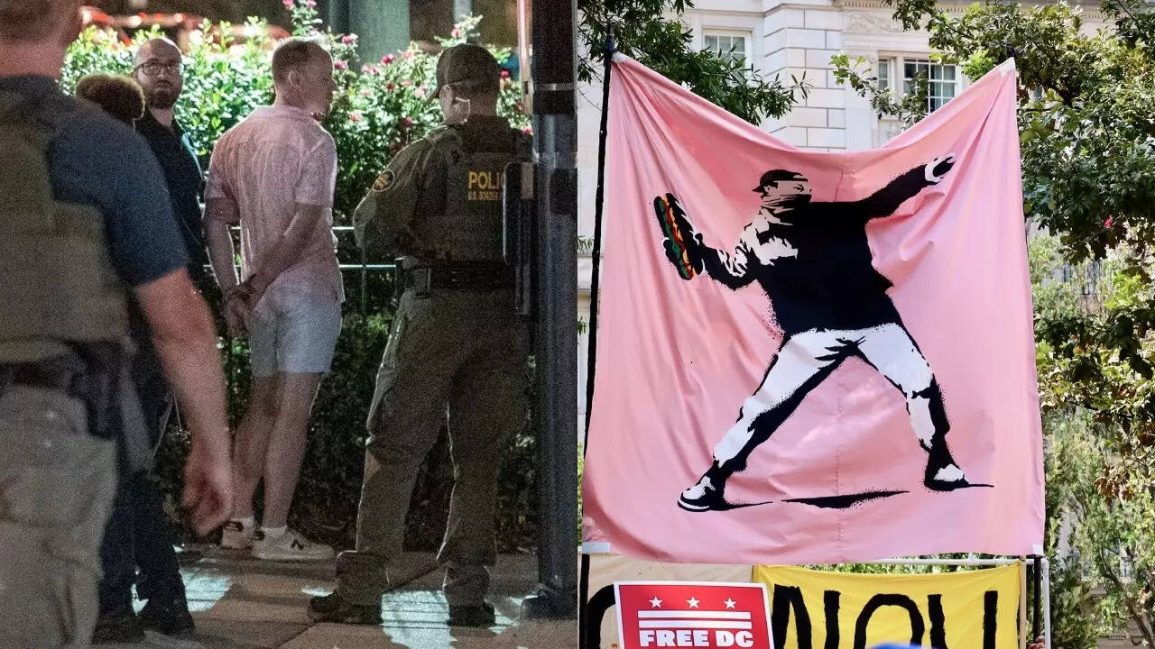 ‘Sandwich guy’ acquitted: Who is Sean Dunn and how did he become the face of DC resistance?