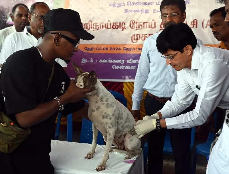 Pet dogs can get vaccinated over next three Sundays: GCC