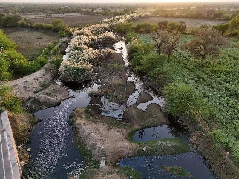 msid 125171615,imgsize 99722 https://jaipur.visitinrajasthan.com/wp-content/uploads/2023/10/cropped-cropped-R-2.png