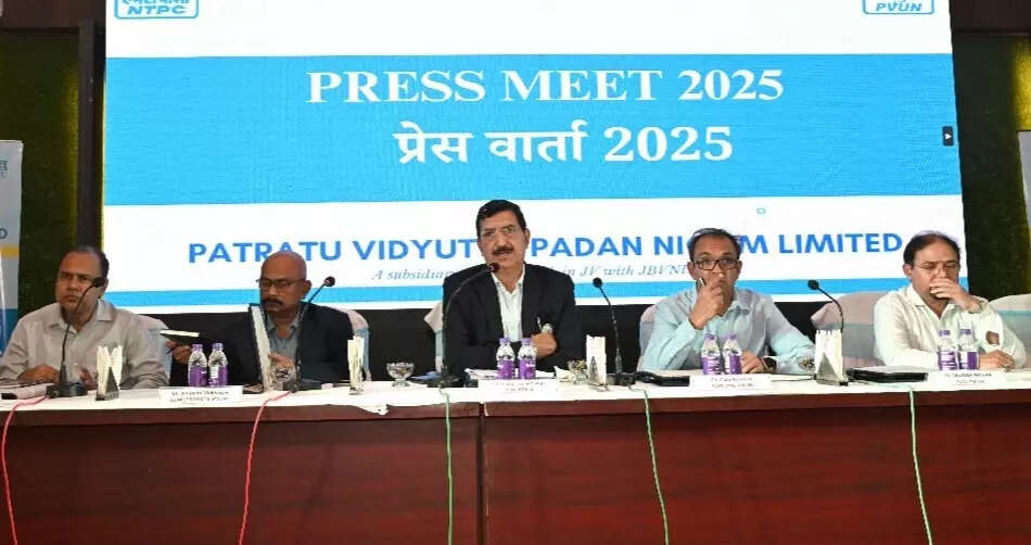 PVUNL begins 85% power supply to Jharkhand: CEO