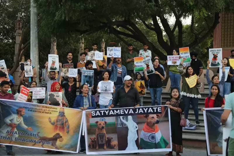 msid 125208593,imgsize 66620 https://jaipur.visitinrajasthan.com/wp-content/uploads/2023/10/cropped-cropped-R-2.png