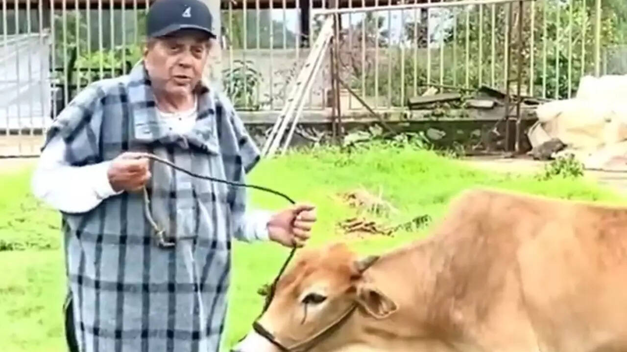 When Dharmendra posed with his cattle in an old video
