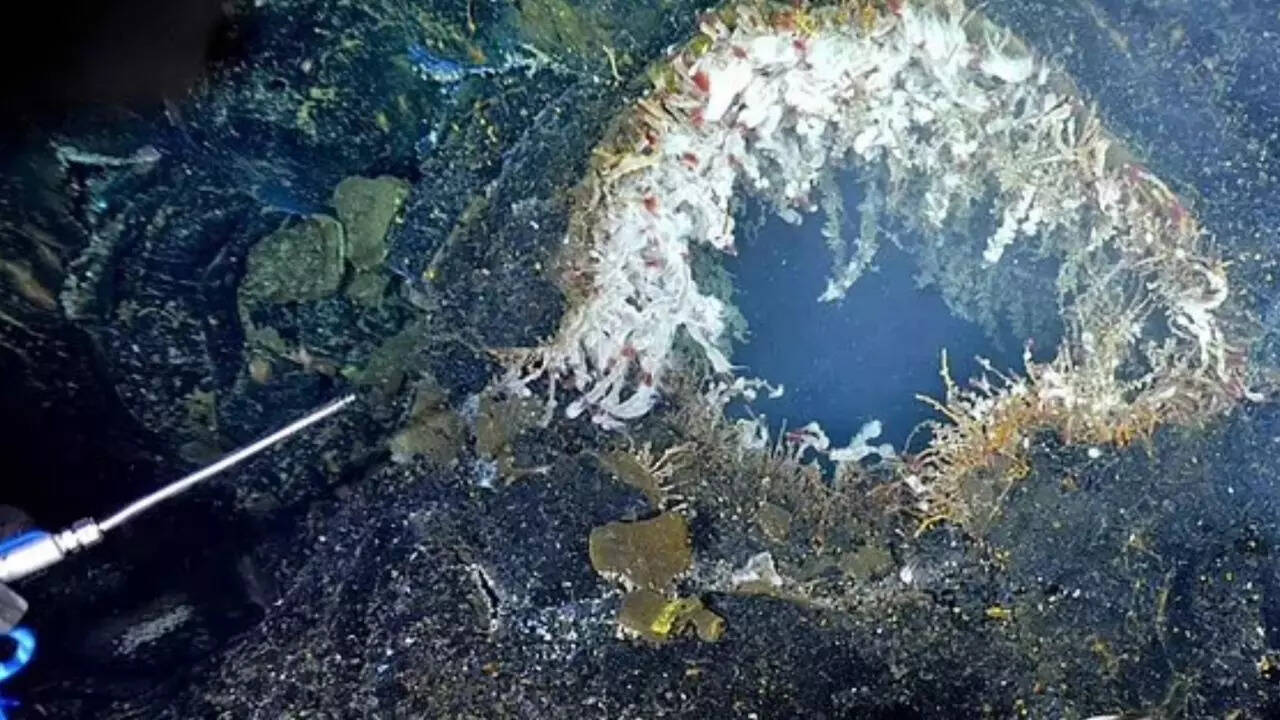 Axial Seamount may erupt by 2026: Uncovering the hidden dangers of Oregon’s most active underwater volcano