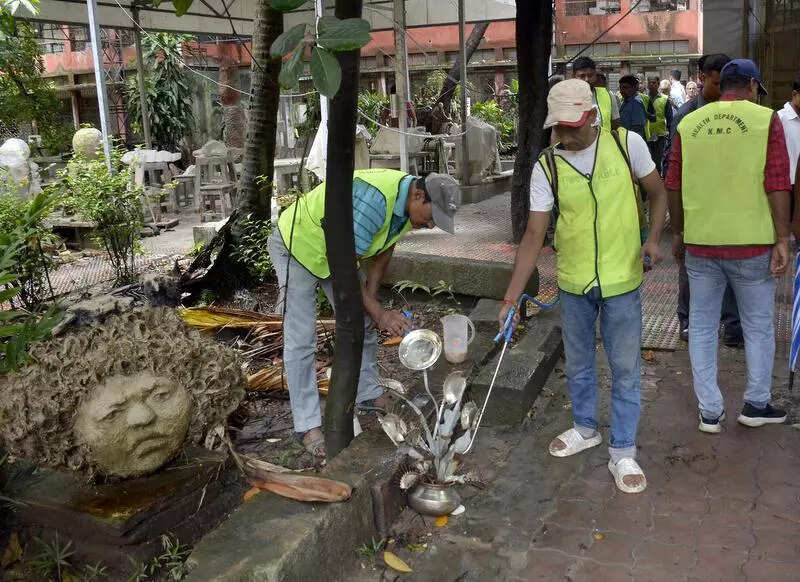 Dengue count in Kol hits more than a ton in a week