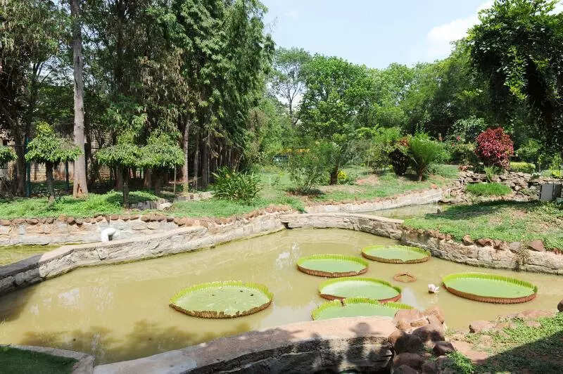 Residents, activists oppose flower market on GKVK campus in Bengaluru