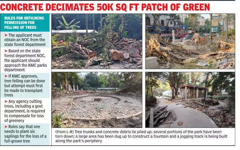 ‘Beautification’ kills over a dozen giants in Theatre Road park