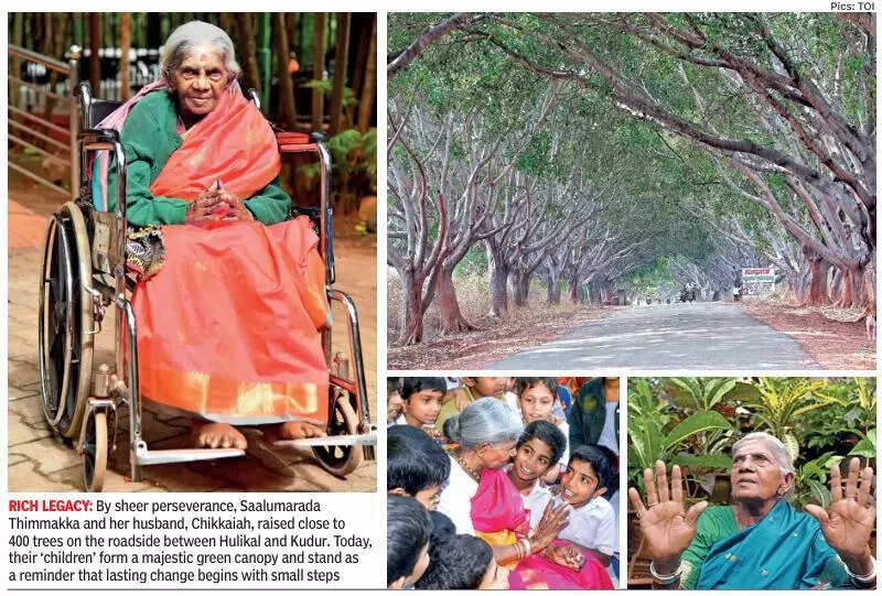 From Saalumarada Thimmakka’s pain grew a forest