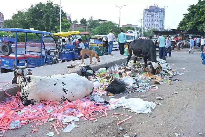 msid 125355235,imgsize 92526 https://jaipur.visitinrajasthan.com/wp-content/uploads/2023/10/cropped-cropped-R-2.png