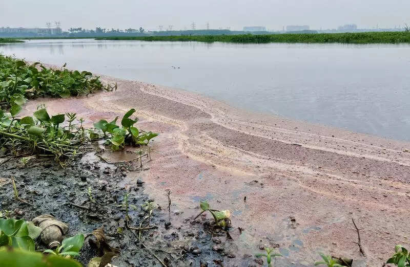 Korattur lake tinged pink as oily sludge spreads; residents fear contamination