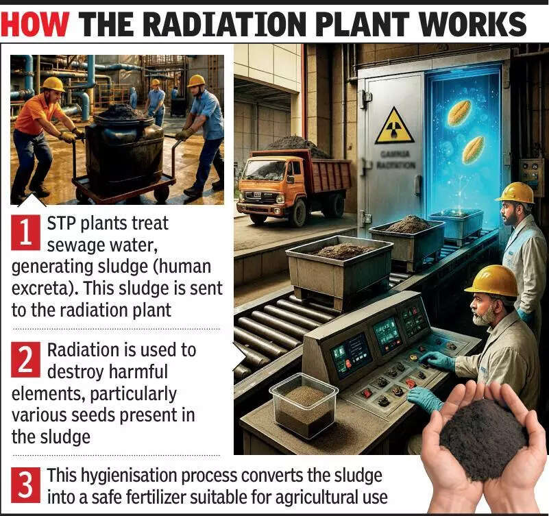 Eight years on, licensing lag may force Ahmedabad civic body to pull plug on Rs 25 crore gamma radiation sludge hygienisation plant in Pirana