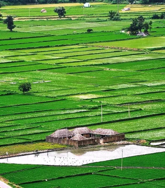 Rice price rise looms as govt set to repair Tungabhadra dam crest gates