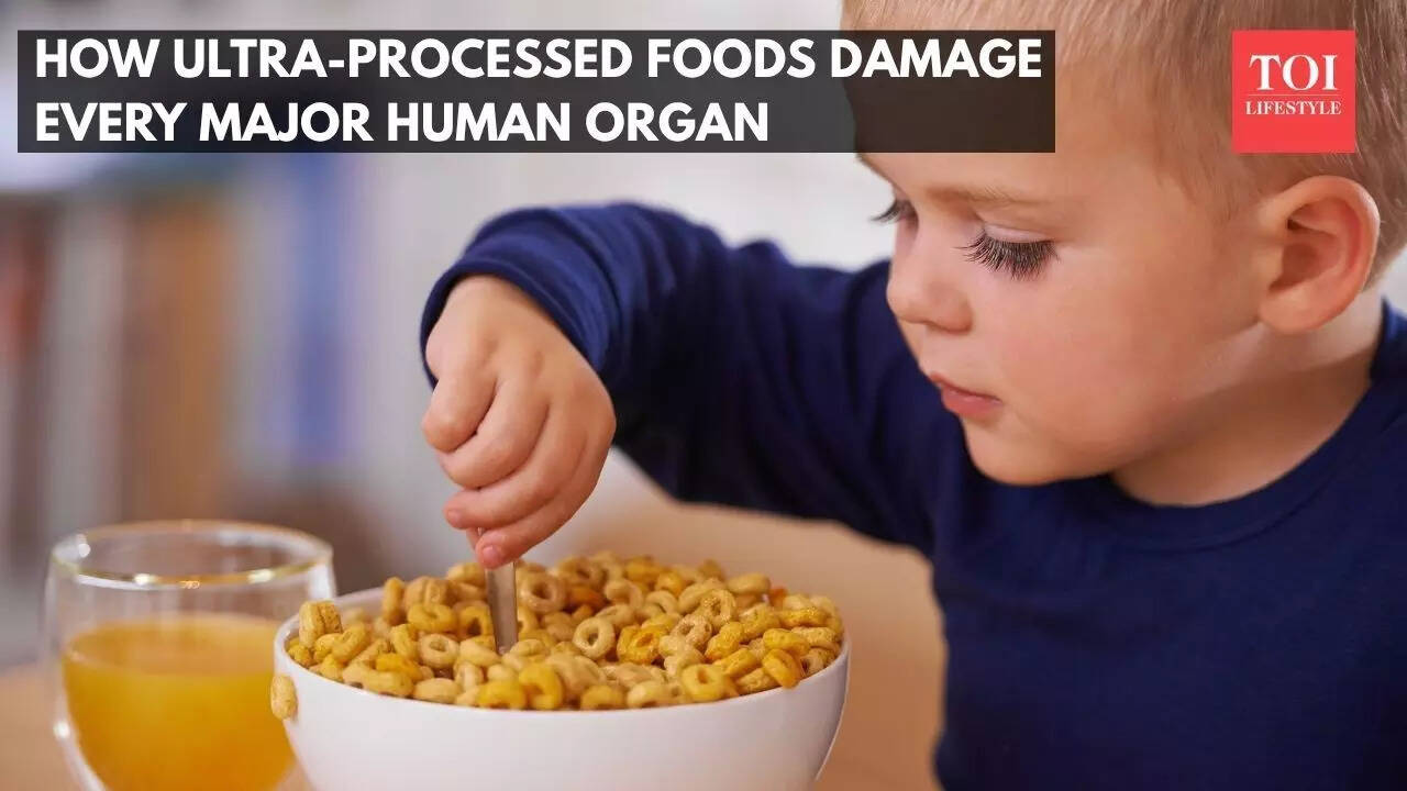 How ultra-processed foods damage every major human organ
