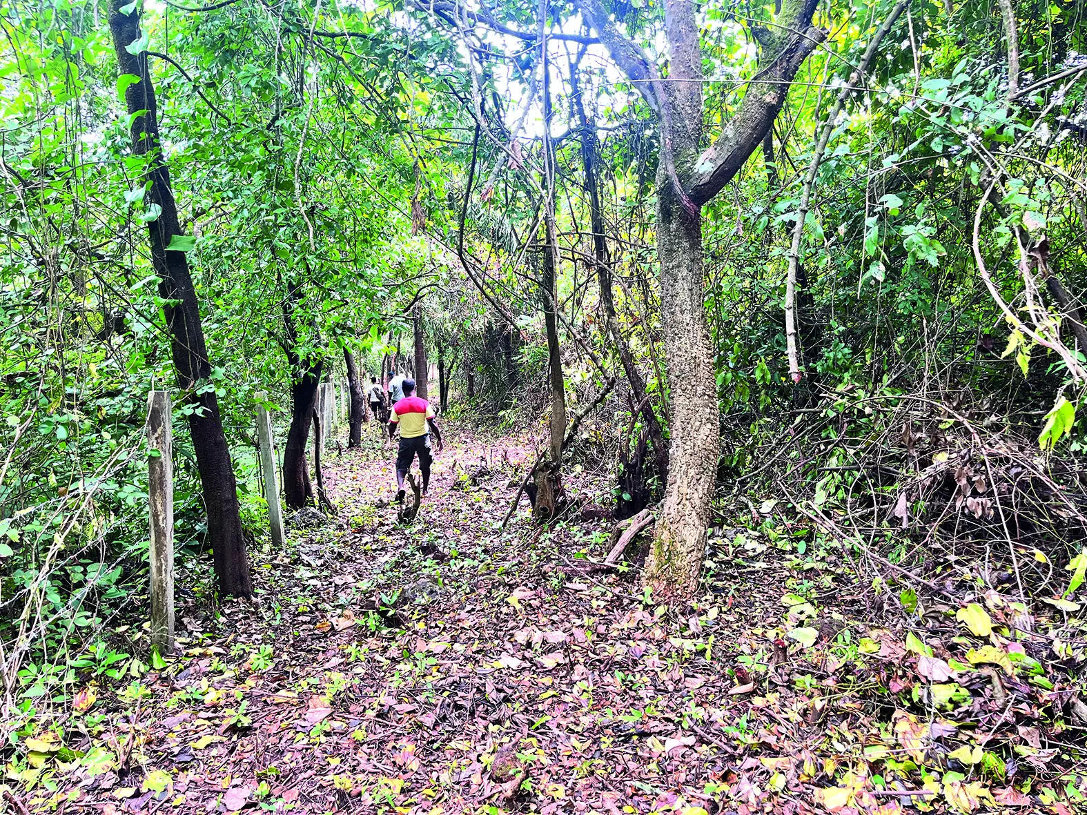 Arambol locals threaten ‘Chipko Andolan’ if land conversion not stalled