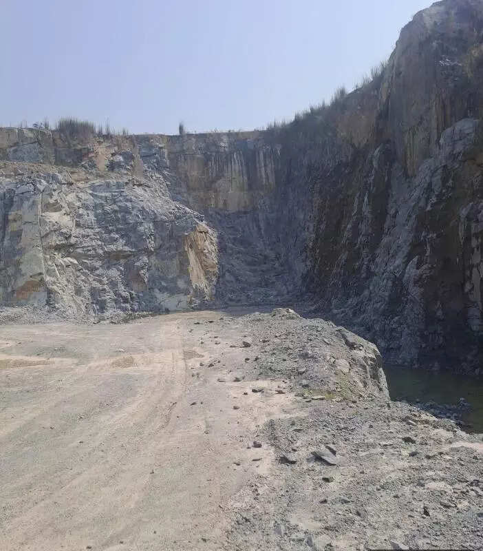 NGT fines Jajpur collector Rs 10k for failing to submit probe report