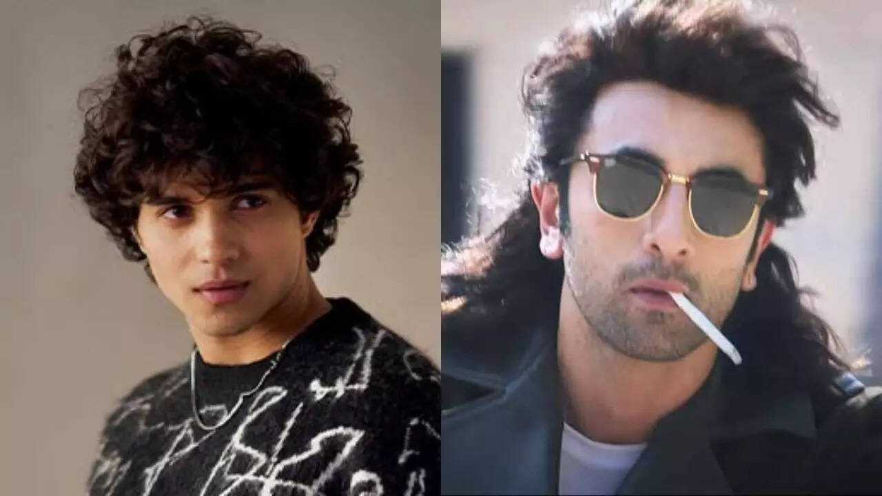 Abhay compares his ‘Munjya’ role to Ranbir’s ‘Animal’ character